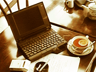 う～ん、ThinkPad230は美しい・・??